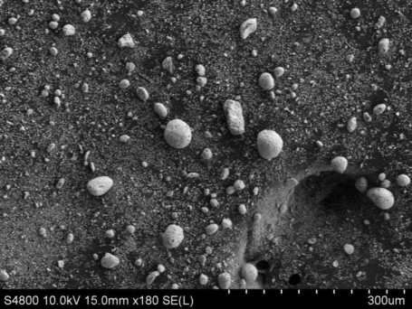 チタン酸ナトリウム塩DSR